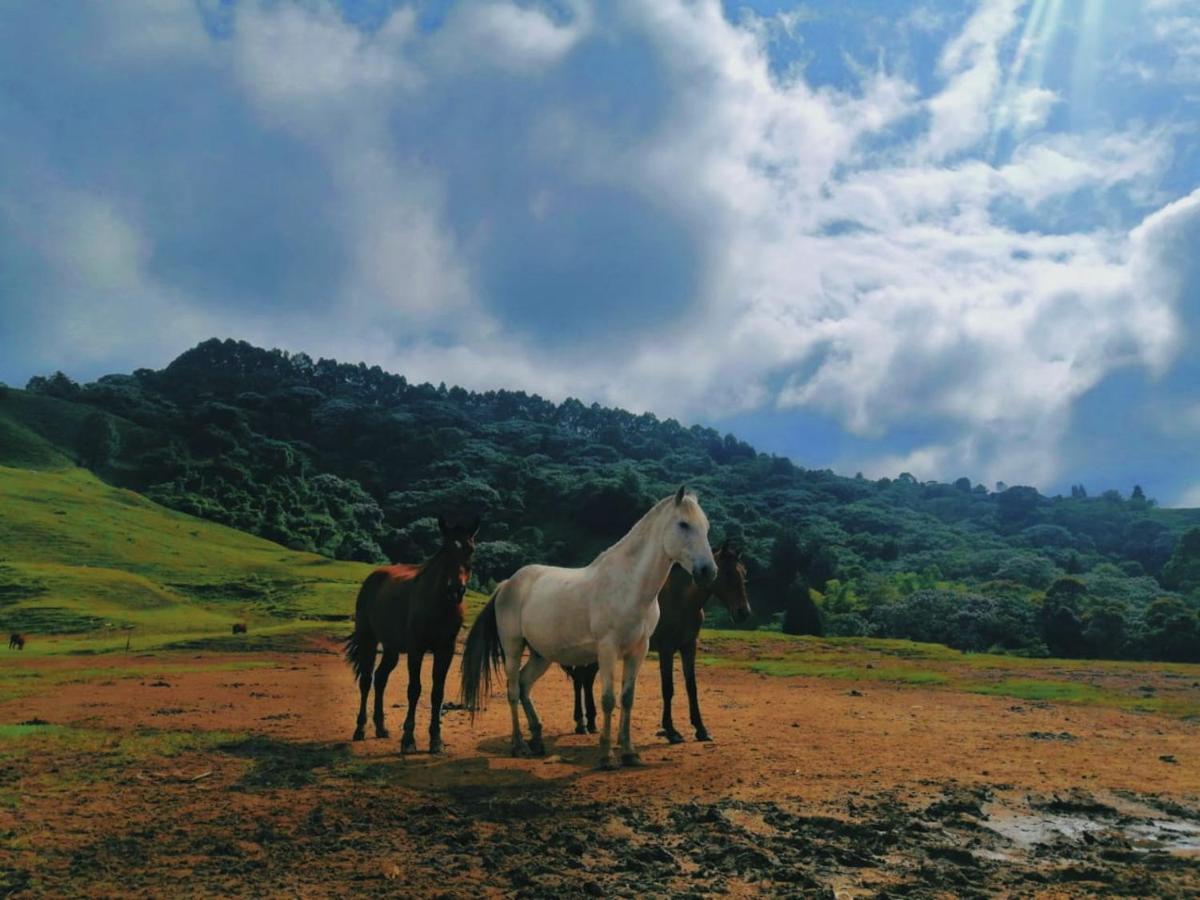 Finca Recreacional Marcelandia Santa Rosa de Cabal Luaran gambar