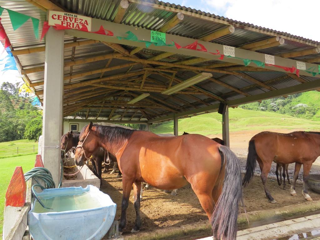 Finca Recreacional Marcelandia Santa Rosa de Cabal Luaran gambar